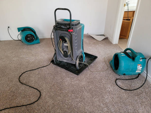 Best Professional water damage repair  in Mifflinburg, PA