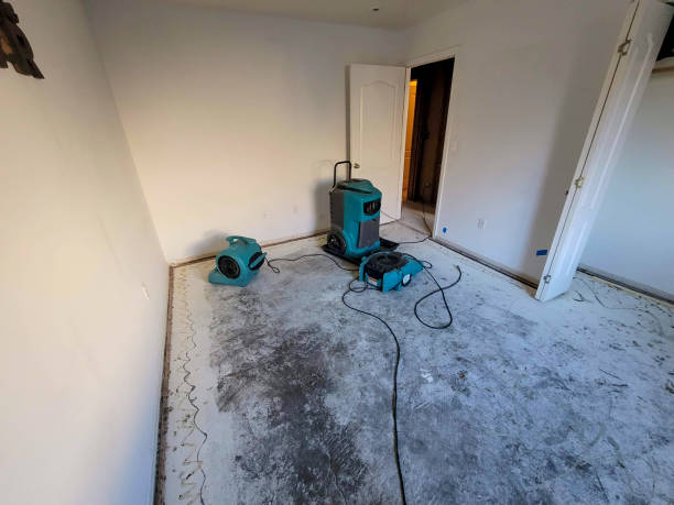 Best Commercial water damage restoration  in Mifflinburg, PA