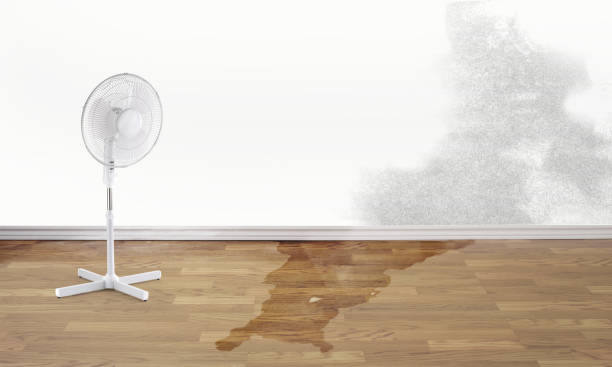 Best Ceiling water damage repair  in Mifflinburg, PA