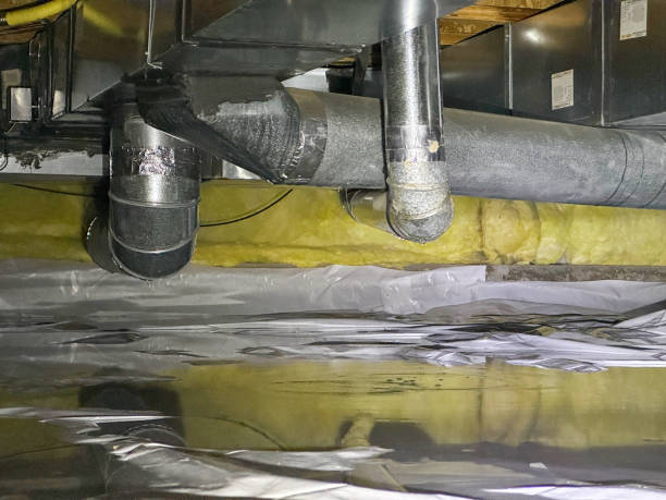 Best Basement water damage restoration  in Mifflinburg, PA
